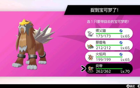 宝可梦剑盾怎么出闪[图2]