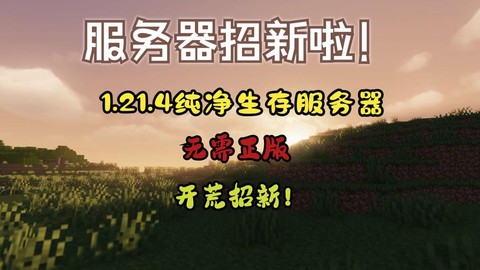 我的世界什么时候上架