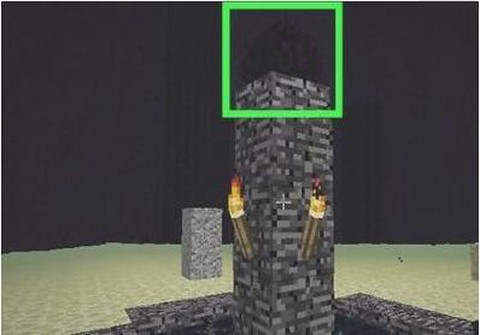 我的世界怎么去末影龙[图2]