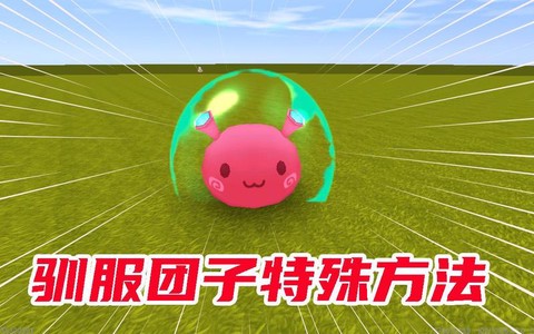 迷你世界团子吃什么